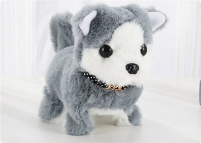 WalkiePup