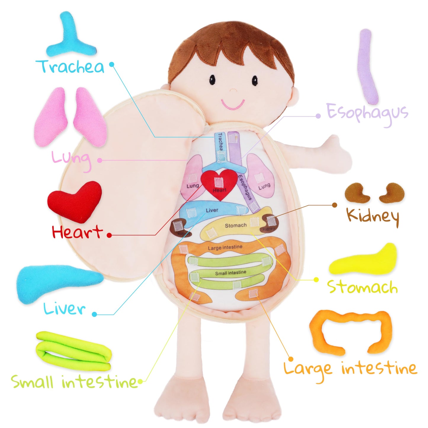 Poupée Éducative Dressy Friends – Prénom Personnalisable | Montessori Apprendre à S'habiller | Cadeau Filles & Garçons 2 ans+